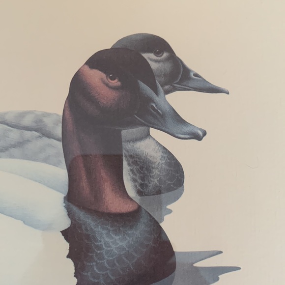 Richard Sloan framed art of ducks - Picture 3 of 7